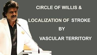 CIRCLE OF WILLIS amp LOCALIZATION OF STROKE BY VASCULAR TERRITORY [upl. by Enrak]