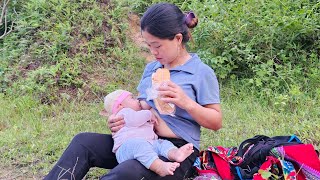 Harvesting watermelons to sell at the market  Building a life  finding a husband [upl. by Wj]