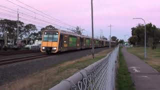 Trains between Blacktown and Toongabbie [upl. by Mcnelly]