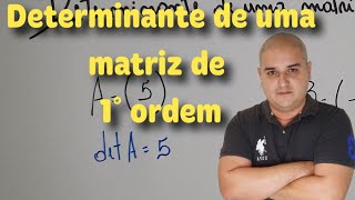 Determinante de uma matriz de 1° ordem  Determinante matriz 1x1 [upl. by Yror150]