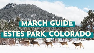 Spring Travel Guide to Visiting Estes Park Colorado in March  Detailed Monthly Guide [upl. by Fayina671]