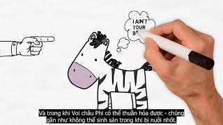 SÚNG VI TRÙNG VÀ THÉP GIẢI MÃ LỊCH SỬ TIẾN HÓA NHÂN LOẠI [upl. by Iline970]