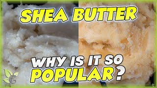 SHEA BUTTER how to identify the REAL from the FAKE [upl. by Couchman248]