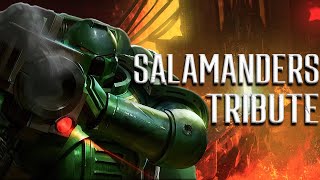 Salamanders Tribute  Anvil of War [upl. by Saravat]