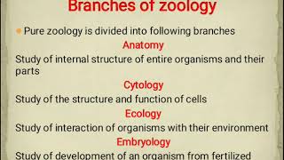 Branches of Zoology [upl. by Reddin376]