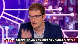 Bitcoin  Monnaie davenir ou monnaie de singe [upl. by Luapnaej]