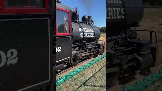 Mountain Quarrys 202 train steamlocomotive railroad railway steamtrain trains [upl. by Llenrup133]