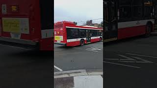 short  TTC BUS WOODBINE TO YORK MILLS TTC FAN BUS [upl. by Aneekat]