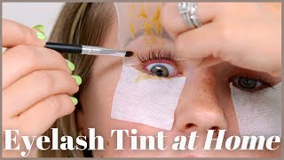 Eyelash Tint At Home [upl. by Caty]