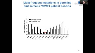 Dr Sauvageau Presents Understanding Sensitivity to Glucocoticoids in RUNX1 mutated AML [upl. by Ennayar922]