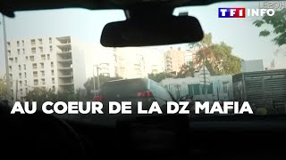 Au coeur de la DZ mafia｜TF1 INFO [upl. by Small]