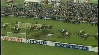 Abandoned Grand National 1993 BBC Highlights Horse Racing [upl. by Petra]