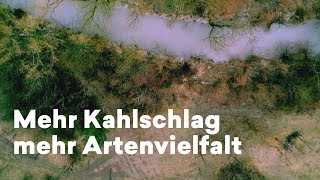 Mythos Wald Wie Kahlschlag die Artenvielfalt erhöht [upl. by Sakovich]