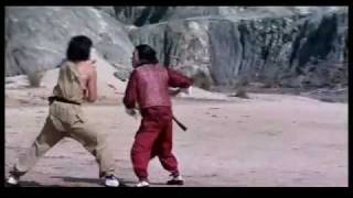 Jackie Chan vs Hwang Jang Lee Snake In The Eagles Shadow End Fight HQm4v [upl. by Lertnahs]