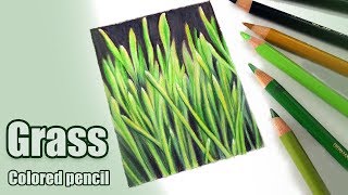 How to draw GRASS in colored pencil [upl. by Blunk]