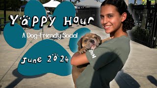 Yappy Hour at Nocatee A DogFriendly Social 2024 [upl. by Uhp]