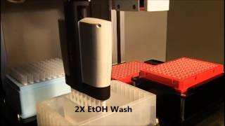 Magnetic Bead Prep for DNA extraction  automated liquid handling [upl. by Kariotta]