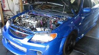 Mazdaspeed Protege Dyno Pulls [upl. by Aramas]