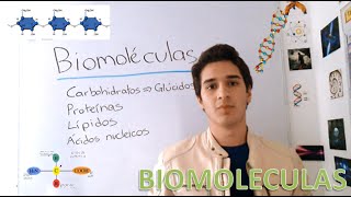 La Célula Biomoléculas EN 3 MINUTOS [upl. by Leakim]