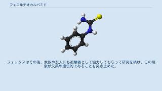 フェニルチオカルバミド [upl. by Swords]