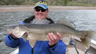 Drop Shotting River Walleye quotAnglers Xperience Episode 19quot [upl. by Eecrad66]