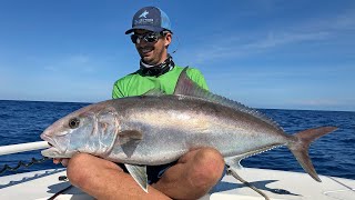 Vertical Jigging for Amberjacks  Live Fishing [upl. by Suiramaj]