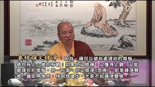 修念佛法門可往生極樂世界，其他佛教徒將會往生何處？打坐半小時後像有氣從背後升起，有些痛，怎樣處理？：觀成法師開示  佛法問與答 部分有字幕 [upl. by Gram905]