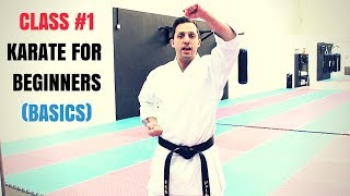 Martial Arts for Beginners – Lesson 1  Basic Karate Cobra Kai Techniques [upl. by Olzsal]