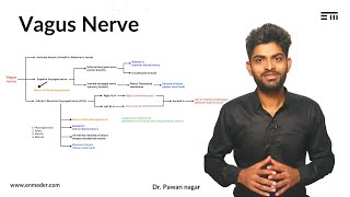 All Important about Vagus Nerve in One Shot  Dr Pawan nagar [upl. by Huang]