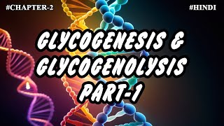 Chapter 2  Metabolism Of Carbohydrates Part8  Glycogenesis amp Glycogenolysis 1 [upl. by Older981]