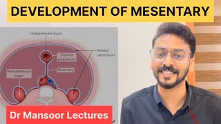 Development of Mesentery  Anatomy Dr Mansoor Malayalam Lecture [upl. by Akceber]