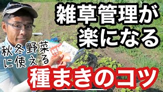 【続･雑草対策】草管理と除草が楽になる秋冬野菜のタネまき方法をニンジンの種蒔きで解説《ビニールマルチ無し除草剤不使用無農薬無施肥自然農》 [upl. by Gnni]