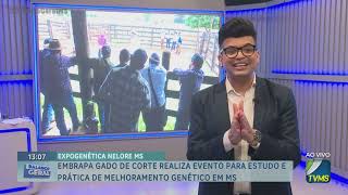 Embrapa Gado de Corte realiza evento para estudo e prática de melhoramento genético em MS [upl. by Heidi]