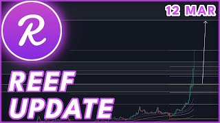 EMERGENCY UPDATE🚨  REEF PRICE PREDICTION amp NEWS 2024 [upl. by Gianna]