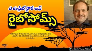 రైబోసోముల సమగ్ర వివరణ [upl. by Belvia868]