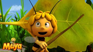 The leaves are in the way  Maya the Bee🐝🍯🐝 [upl. by Valdas]