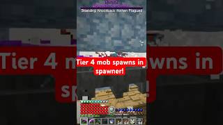 Tier 4 mob minecraft gaming rlcraft rlcraftdregora minecraftgameplay rlcraftminecraft [upl. by Assenal]