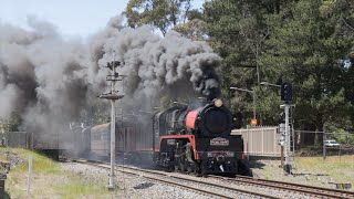 Australian steam locomotive R766 hauling quotTHE PICNIC TRAINquot to Moss Vale  October 2024 [upl. by Willms795]