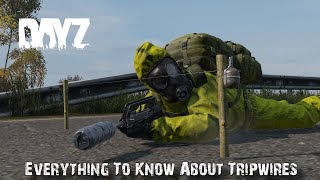 Everything You Need To Know About Tripwires In DayZ 114 [upl. by Ojahtnamas]