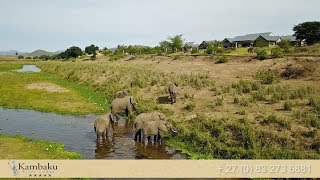 Kambaku River Lodge Activities Kruger National Park South Africa  Africa Travel Channel [upl. by Ecineg]