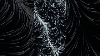 Flow field  generative art creativecoding mathart abstractart [upl. by Ahsehat]