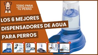 Los 6 mejores dispensadores de agua para perros [upl. by Ley74]