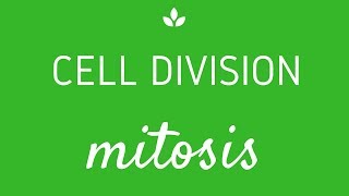 Mitosis complete process  hand written notes  Important topics [upl. by Eustazio]