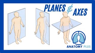 Planes of Motion amp Axes of Rotation [upl. by Kinom]