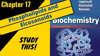 Lippincotts Biochemistry Review Chapter 17 Phospholipids and Eicosanoids  Study This [upl. by Donovan]