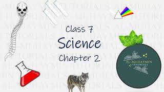 Nutrition in Animals class 7 science chapter 2 part 2 [upl. by Belak]