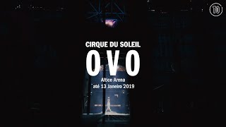 Cirque du Soleil  Ovo [upl. by Handler]