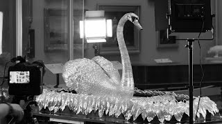 Bowes Swan Automaton 2021 Study week  Silver Swan at The Bowes Museum [upl. by Colette]