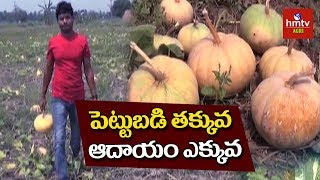 Gollaprolu Farmers Earning High Profits In Pumpkin Farming  hmtv Agri [upl. by Severen]