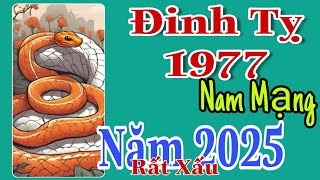 Đinh Tỵ 1977 Nam Mạng Năm 2025 Mọi Phương Diện Đều Bất Ổn Do Hạn Xấu Sao Xấu [upl. by Gambrill544]